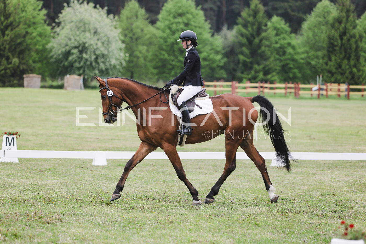 Parnu_CHI_3V_2026_CCN80_KS_185