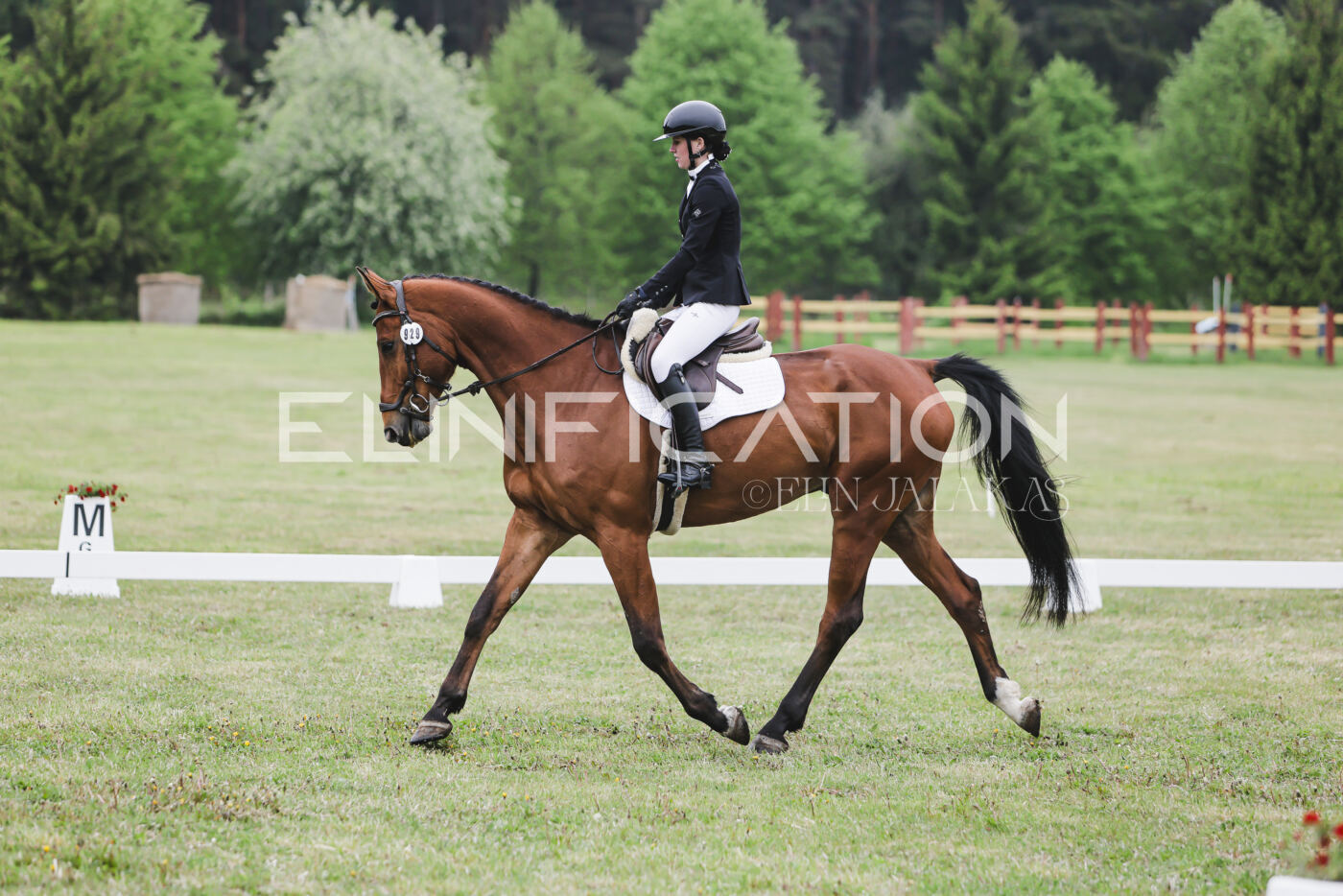 Parnu_CHI_3V_2026_CCN80_KS_186