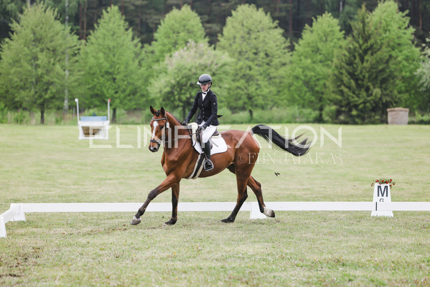 Parnu_CHI_3V_2026_CCN80_KS_190
