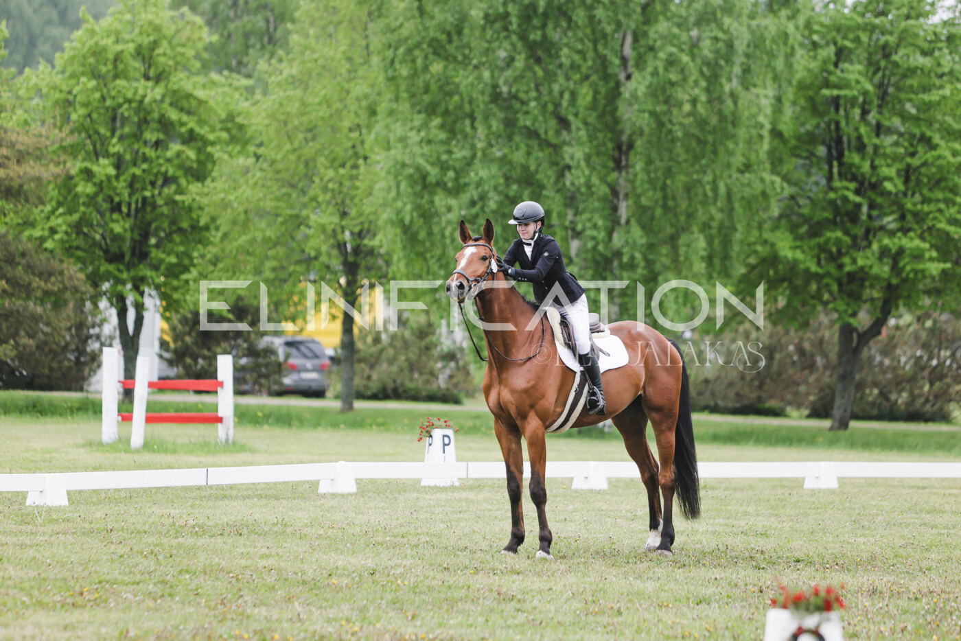 Parnu_CHI_3V_2026_CCN80_KS_198