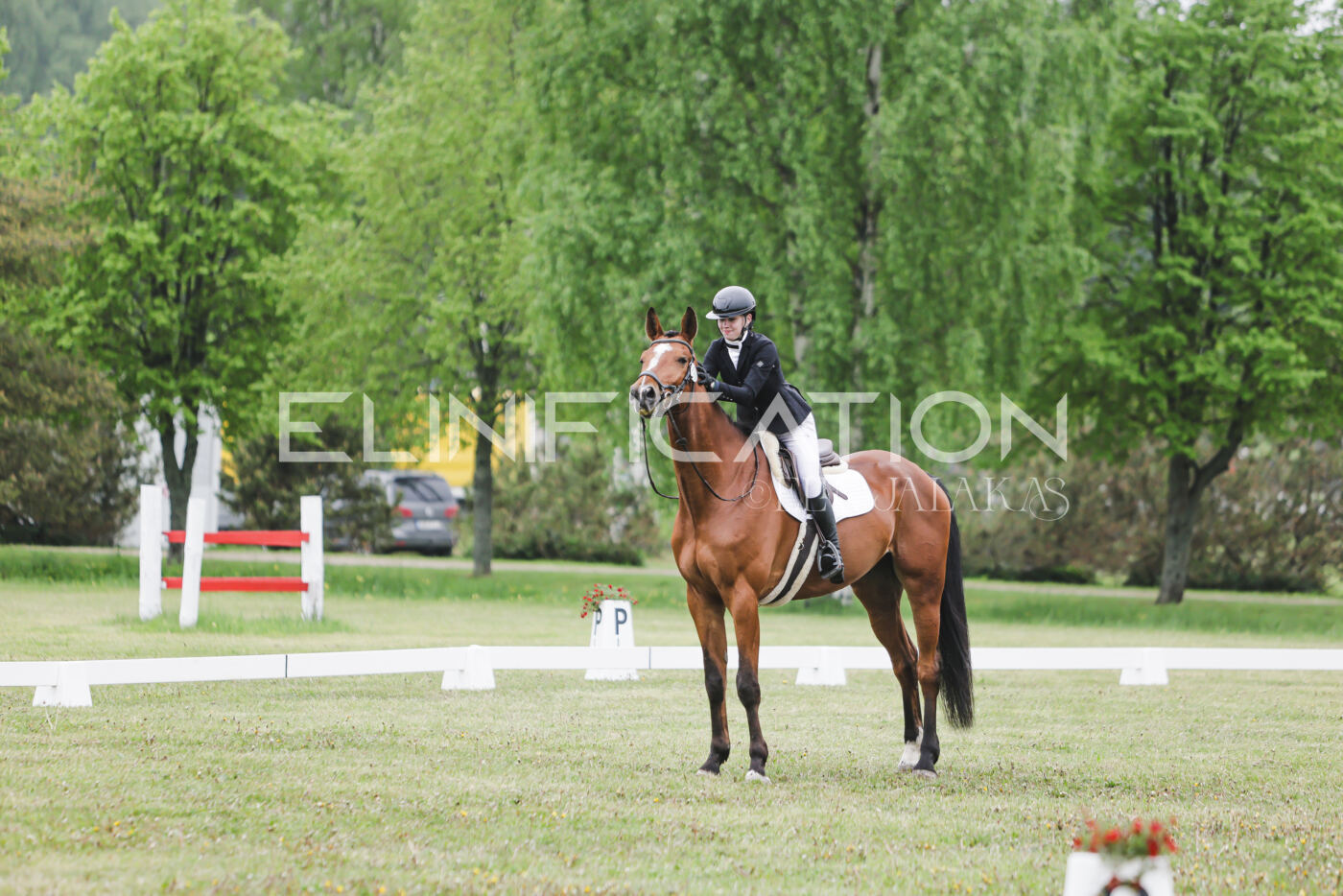Parnu_CHI_3V_2026_CCN80_KS_199