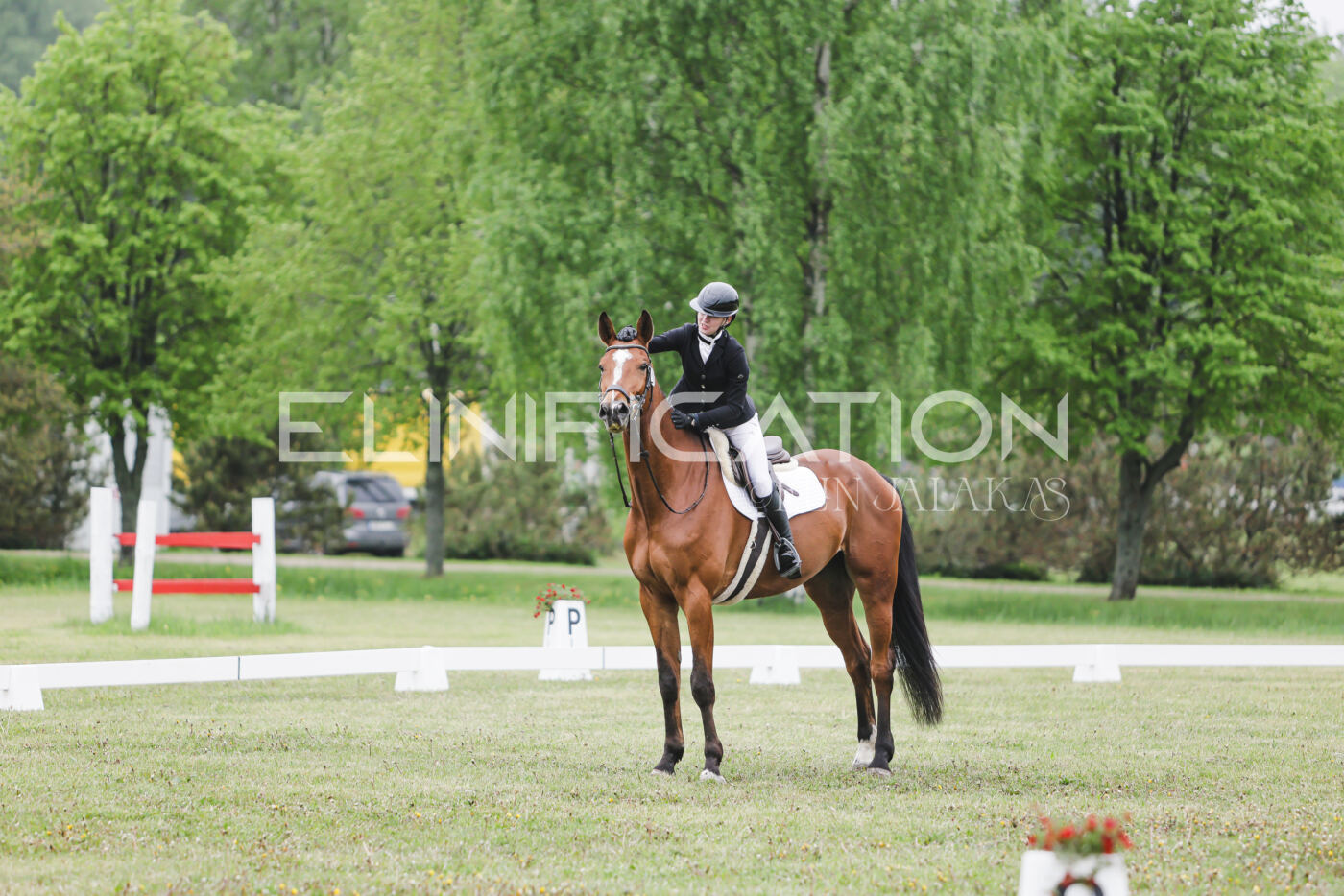 Parnu_CHI_3V_2026_CCN80_KS_201