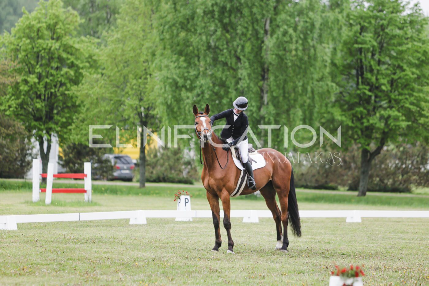 Parnu_CHI_3V_2026_CCN80_KS_202