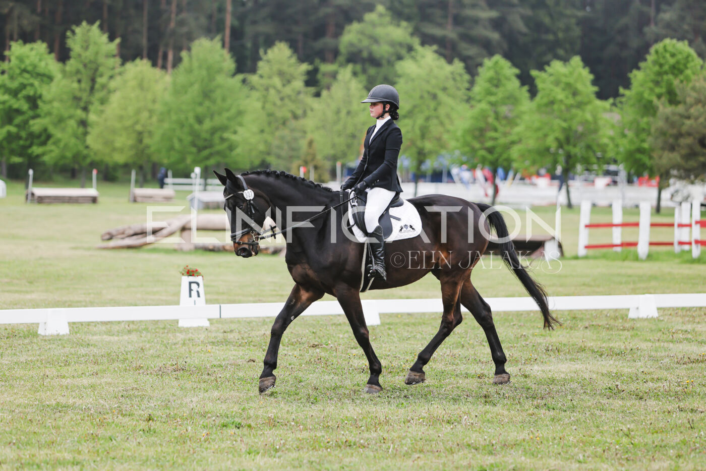 Parnu_CHI_3V_2026_CCN80_KS_203