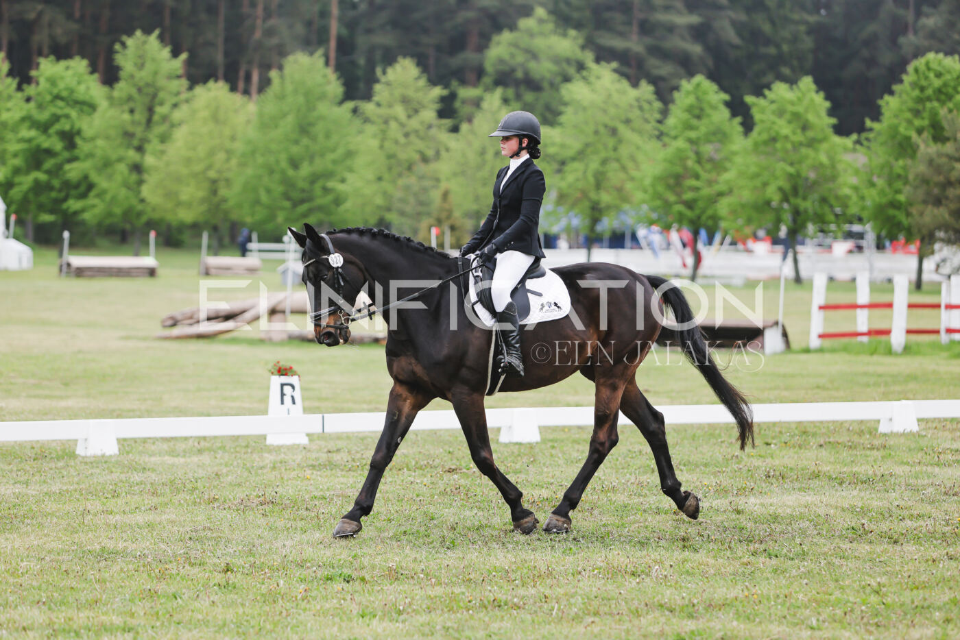 Parnu_CHI_3V_2026_CCN80_KS_204