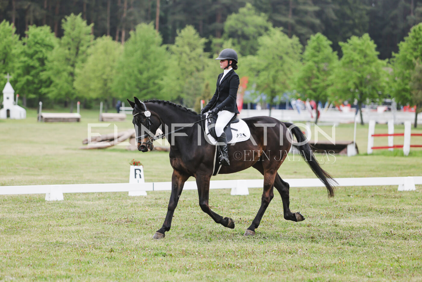 Parnu_CHI_3V_2026_CCN80_KS_205