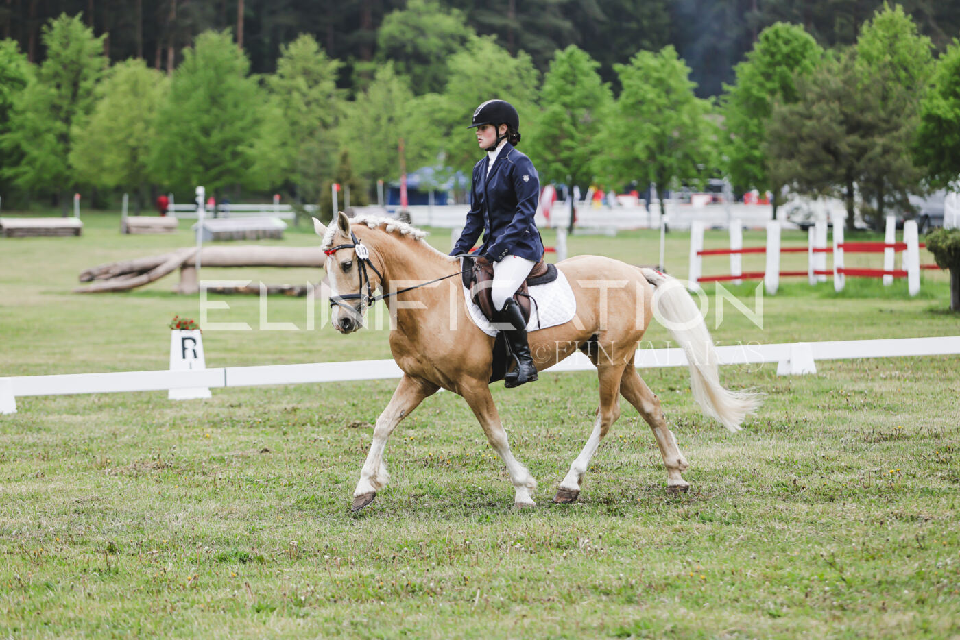 Parnu_CHI_3V_2026_CCN80_KS_219