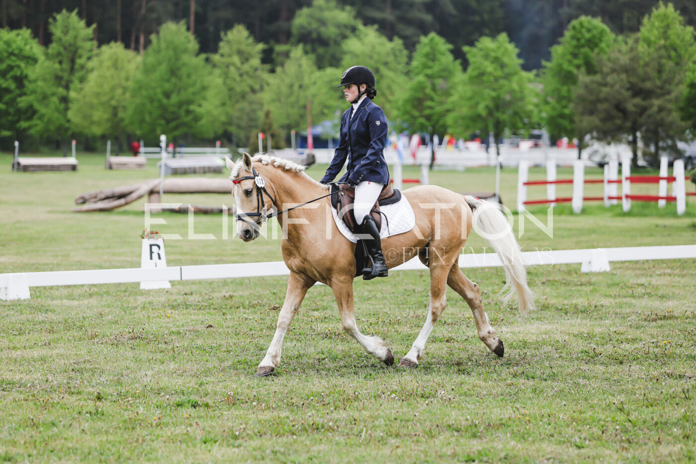 Parnu_CHI_3V_2026_CCN80_KS_220