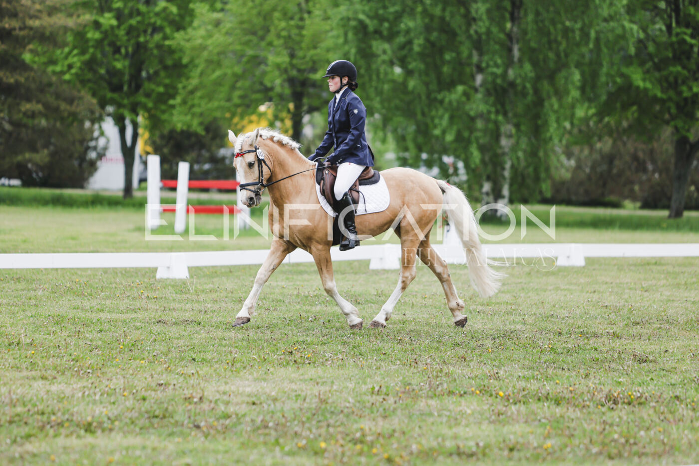 Parnu_CHI_3V_2026_CCN80_KS_224