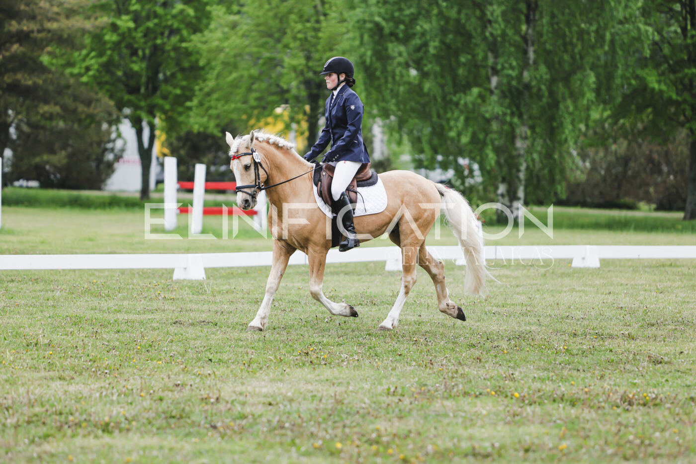 Parnu_CHI_3V_2026_CCN80_KS_225