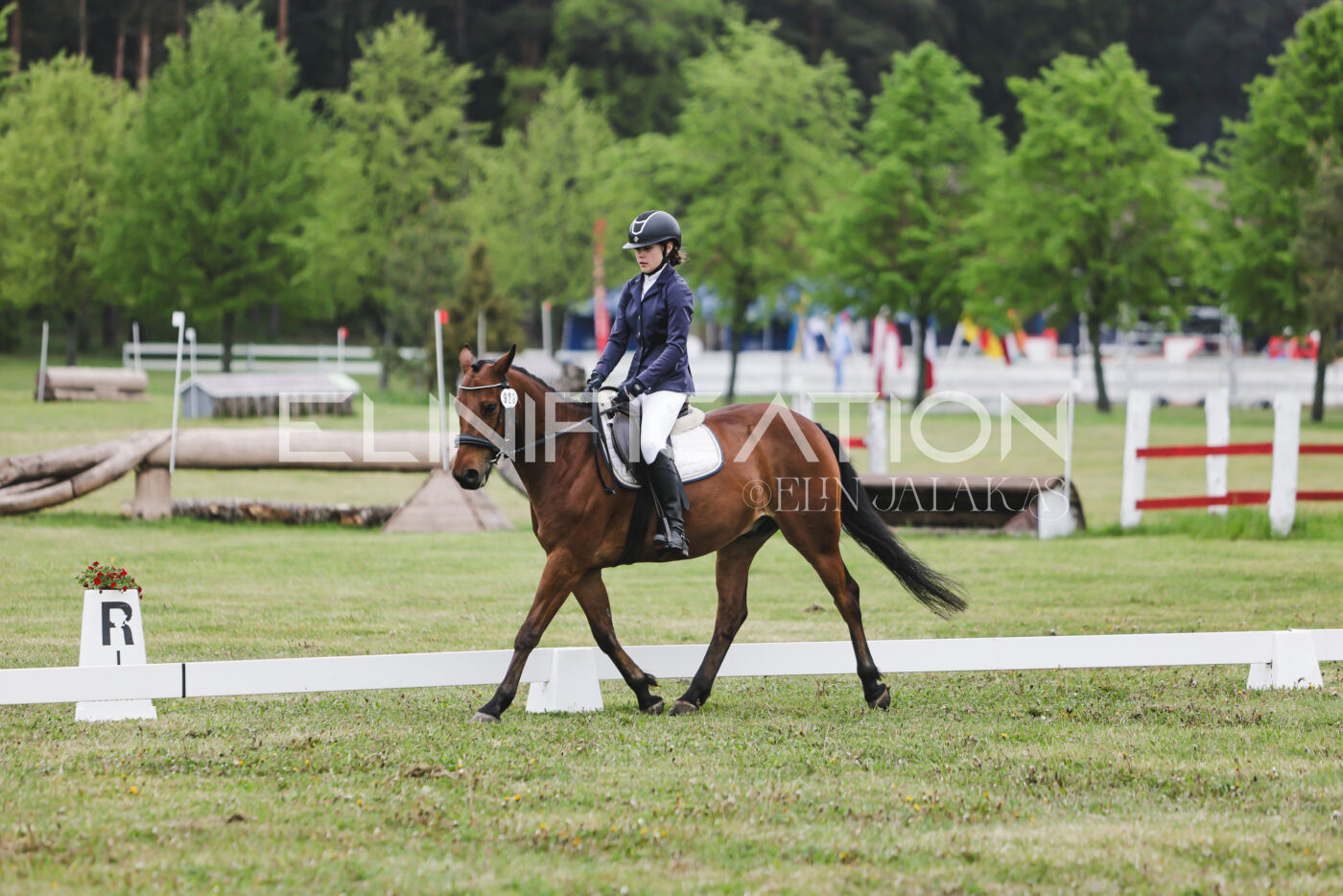 Parnu_CHI_3V_2026_CCN80_KS_261