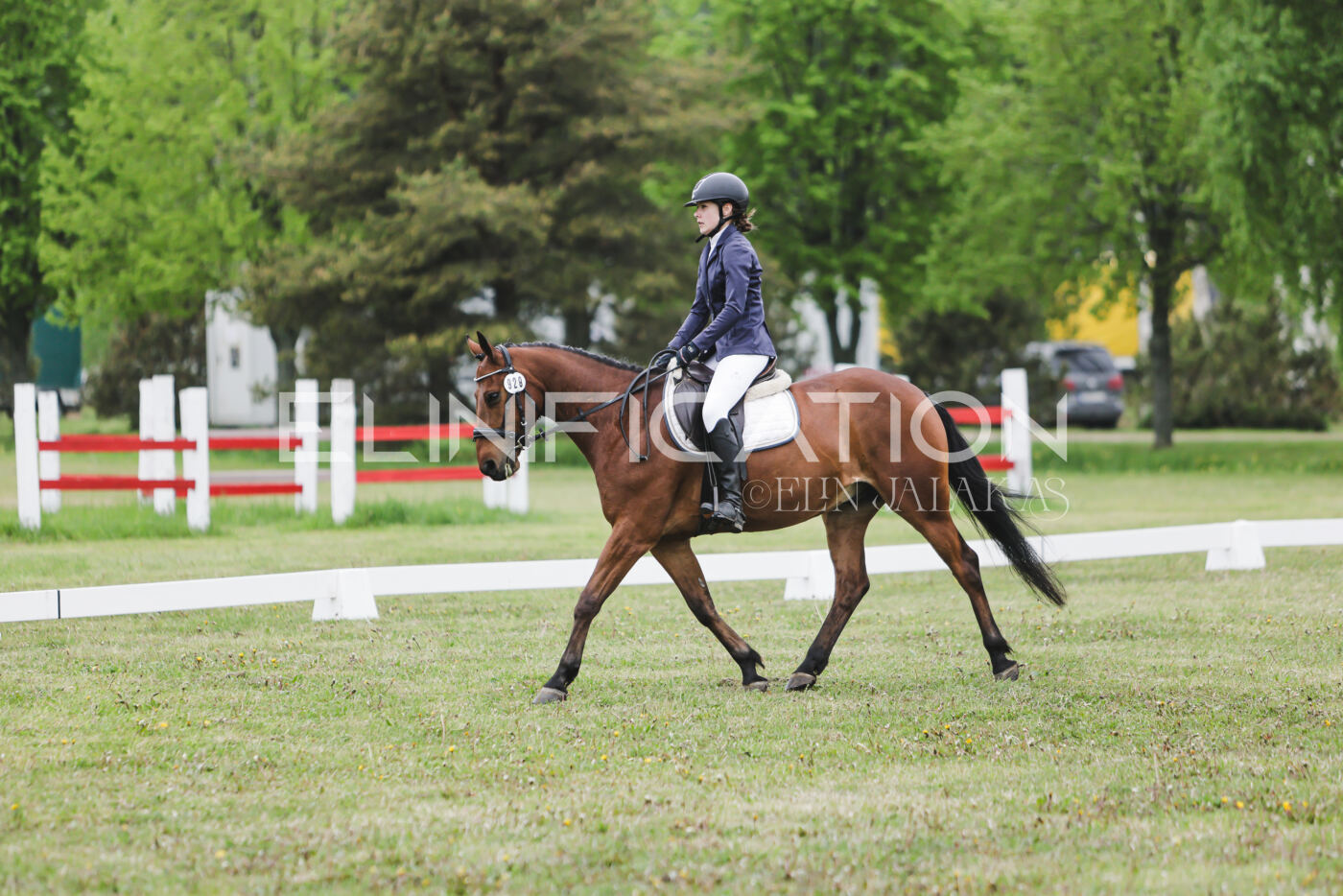 Parnu_CHI_3V_2026_CCN80_KS_264