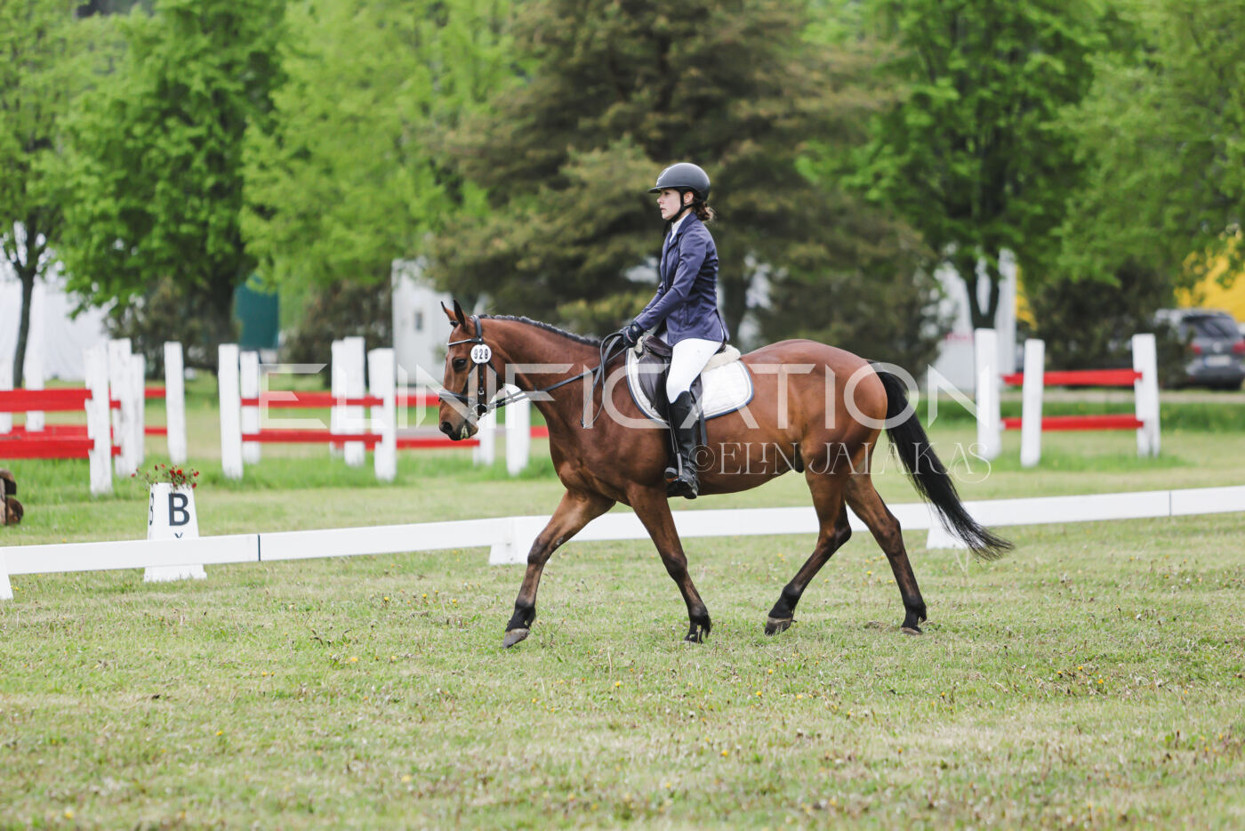 Parnu_CHI_3V_2026_CCN80_KS_265