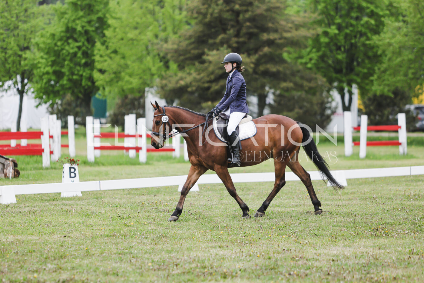 Parnu_CHI_3V_2026_CCN80_KS_266