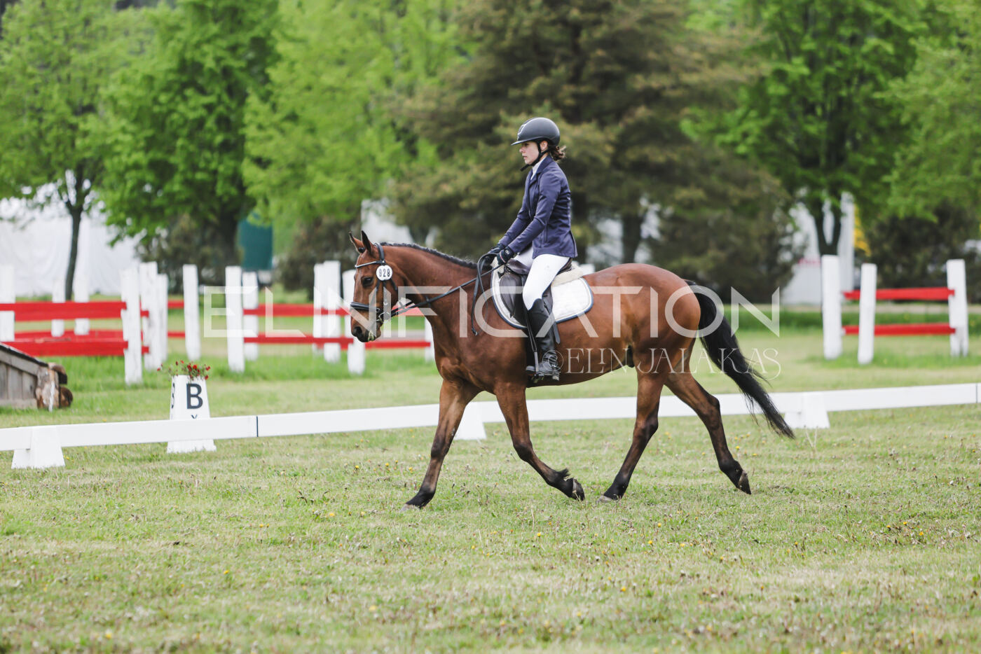Parnu_CHI_3V_2026_CCN80_KS_267