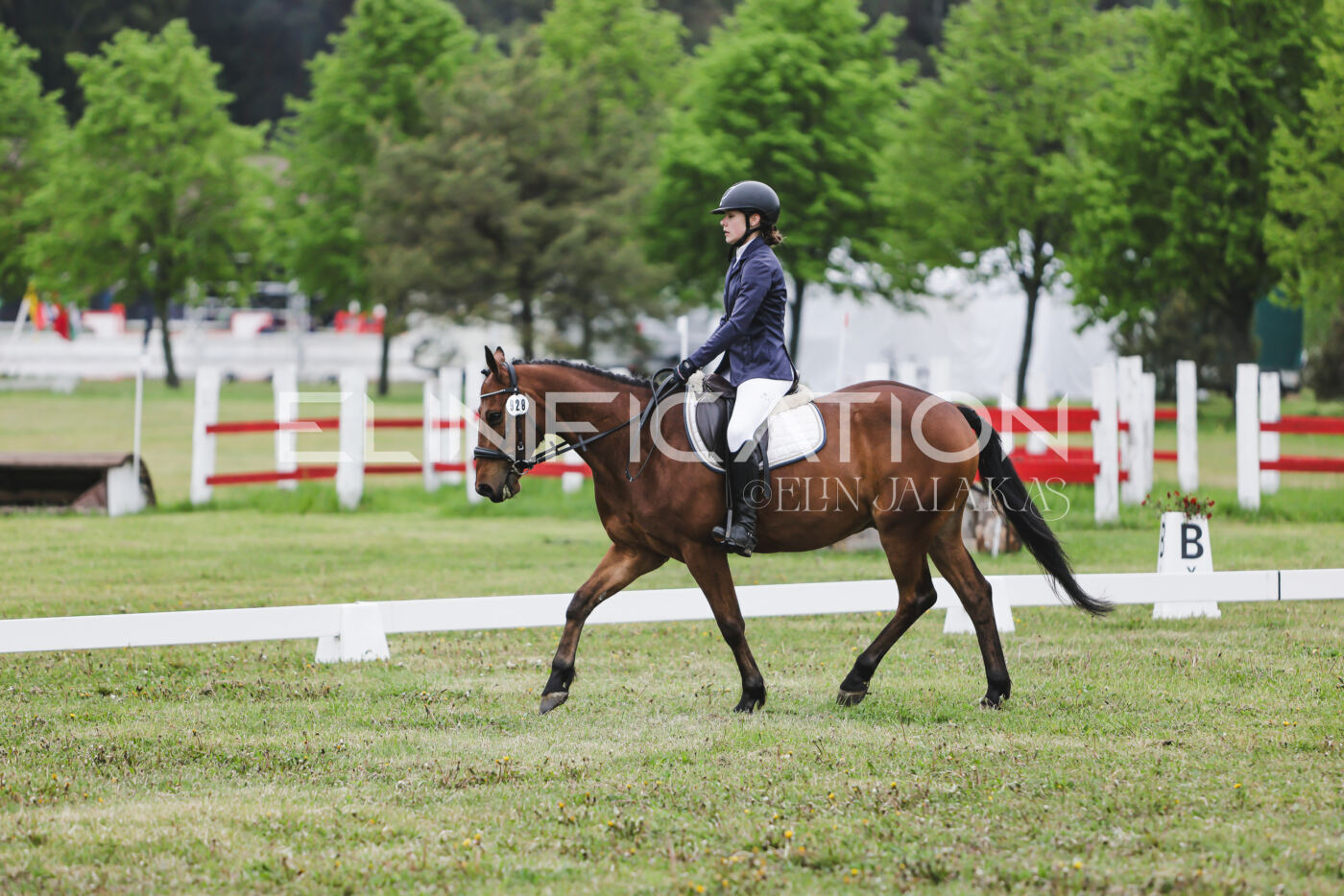 Parnu_CHI_3V_2026_CCN80_KS_268