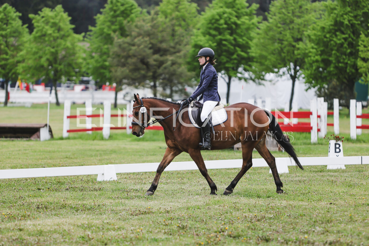 Parnu_CHI_3V_2026_CCN80_KS_269