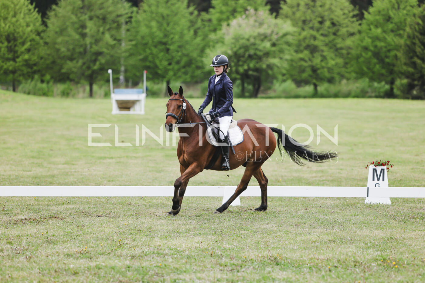 Parnu_CHI_3V_2026_CCN80_KS_273