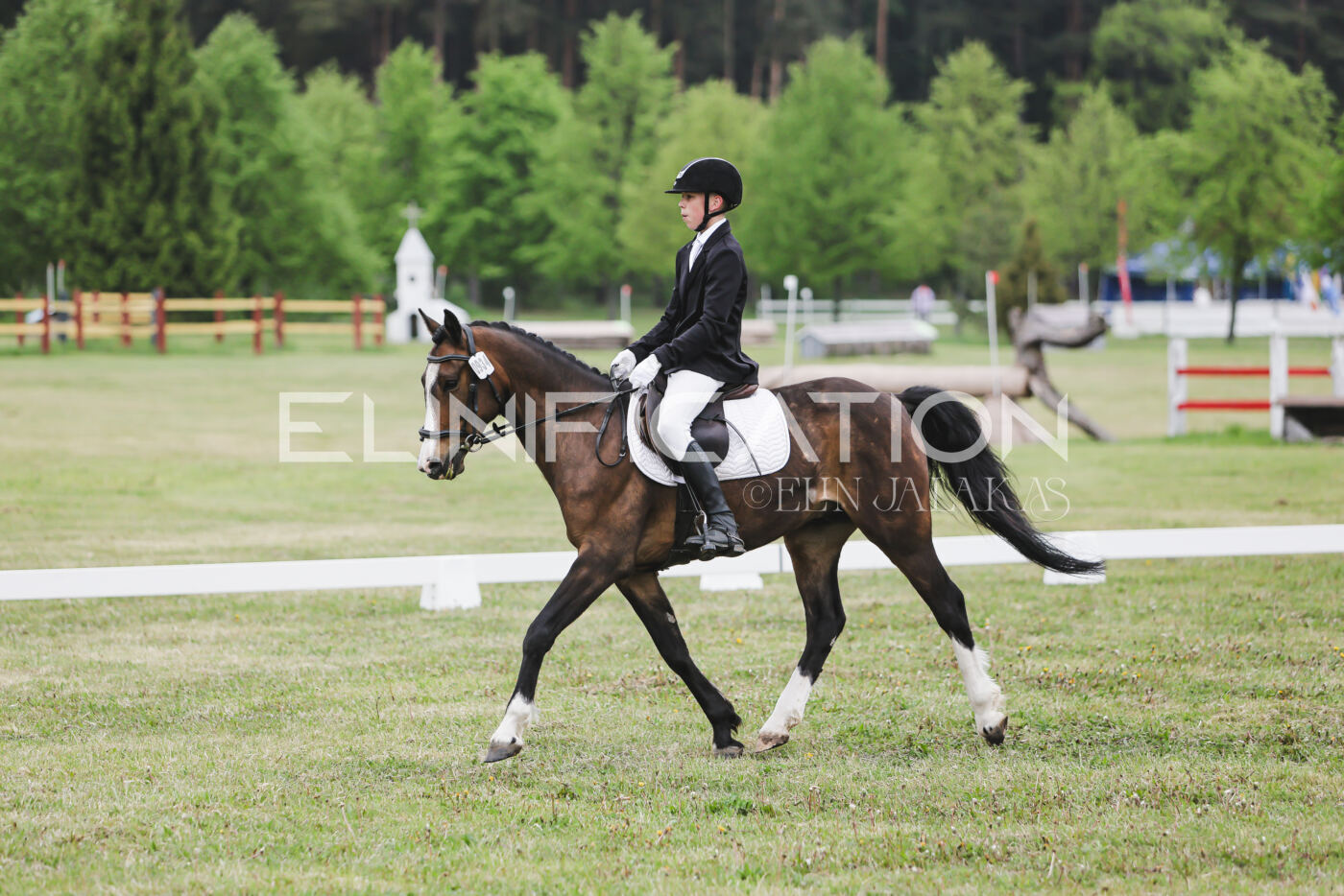 Parnu_CHI_3V_2026_CCN80_KS_285