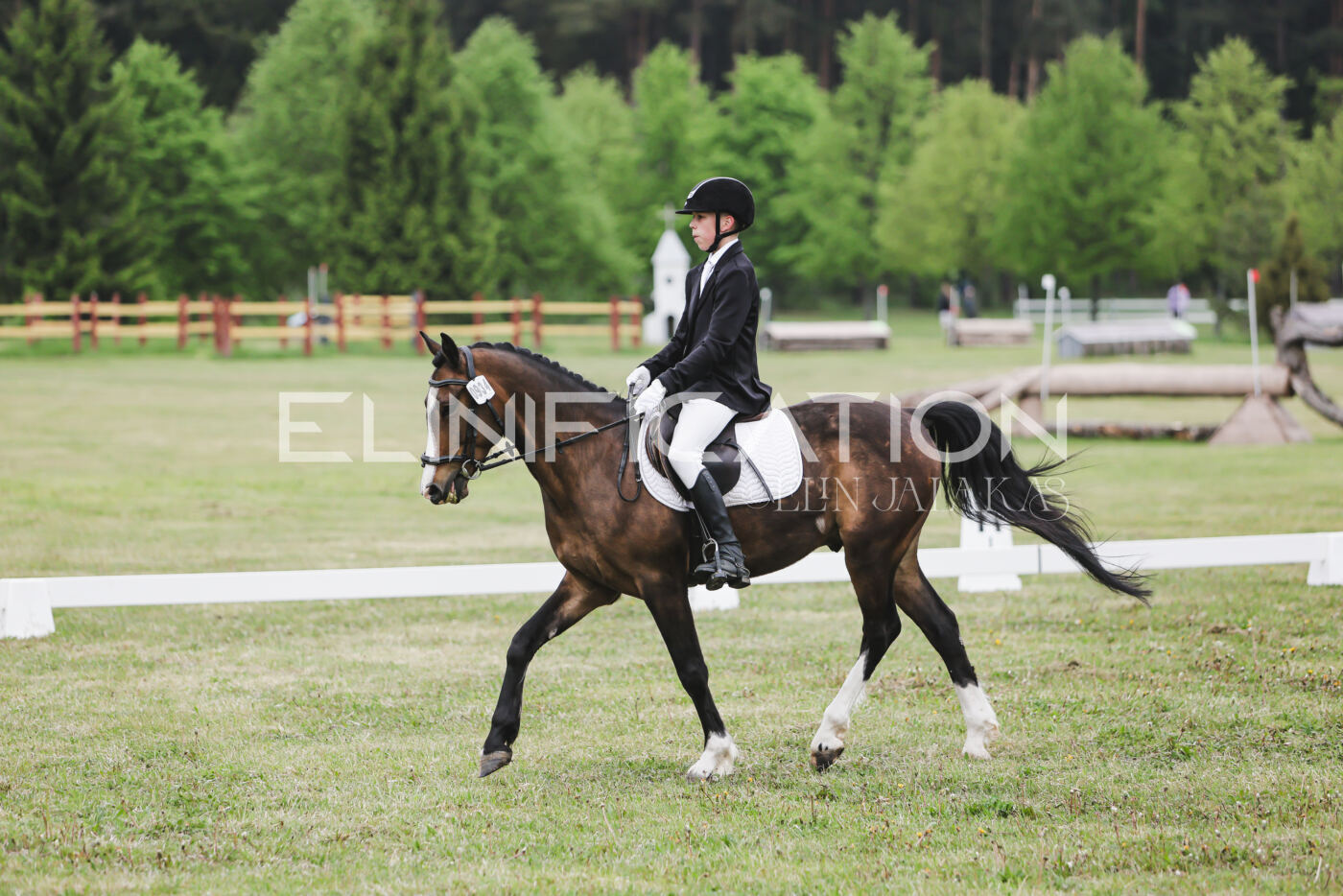 Parnu_CHI_3V_2026_CCN80_KS_286