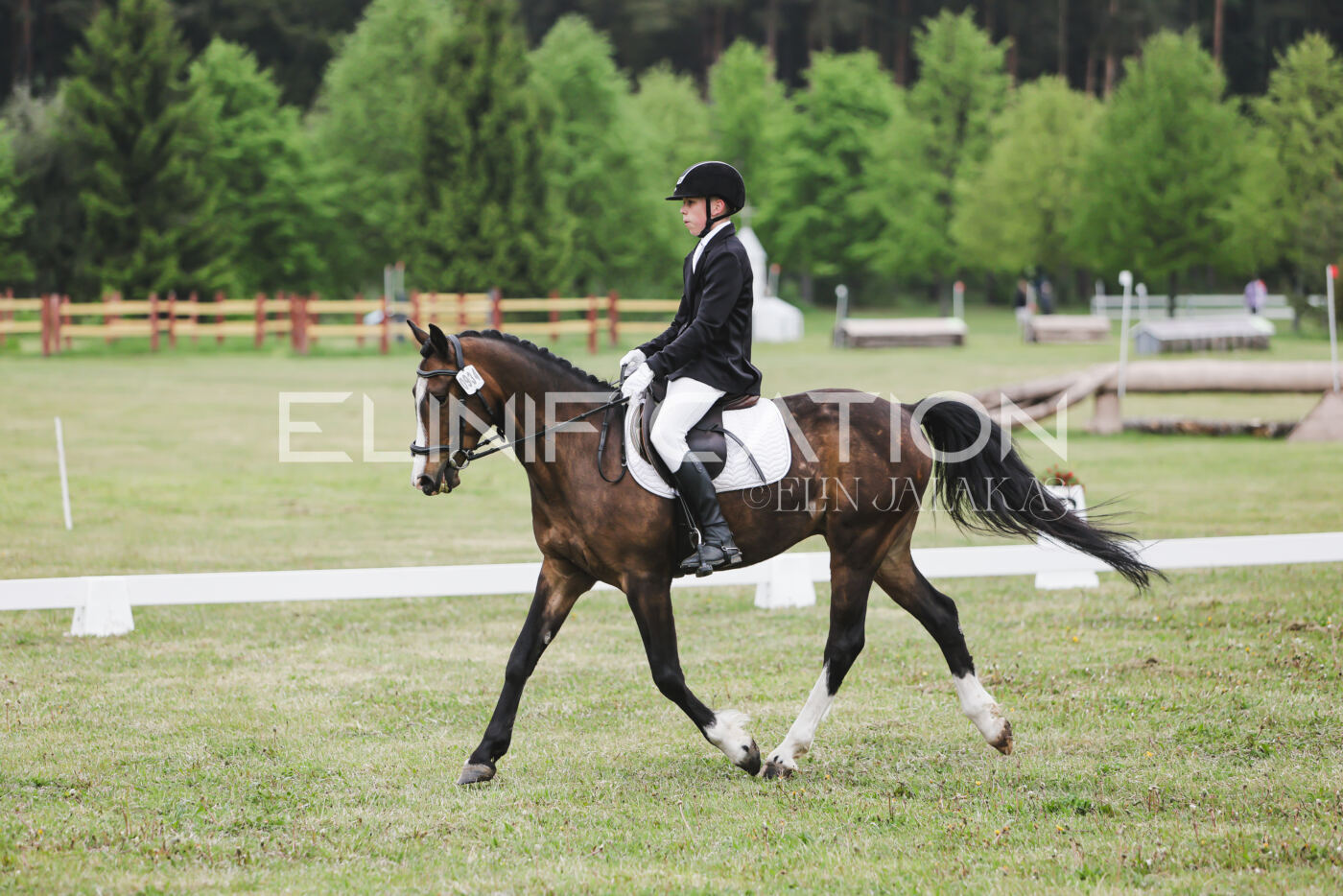 Parnu_CHI_3V_2026_CCN80_KS_288