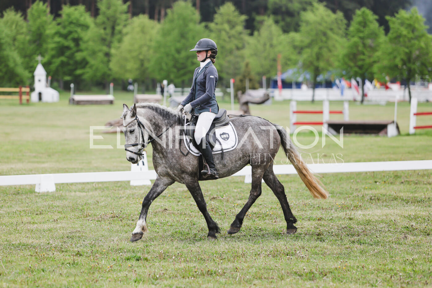 Parnu_CHI_3V_2026_CCN80_KS_301