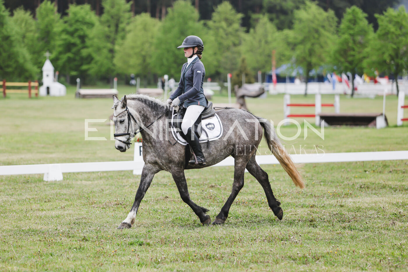 Parnu_CHI_3V_2026_CCN80_KS_302