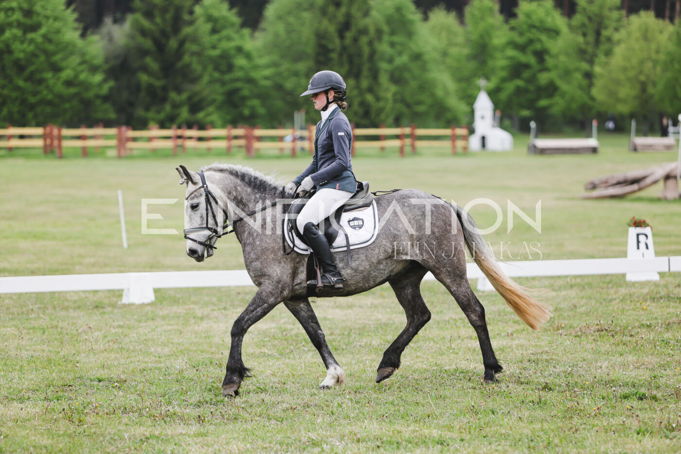 Parnu_CHI_3V_2026_CCN80_KS_303