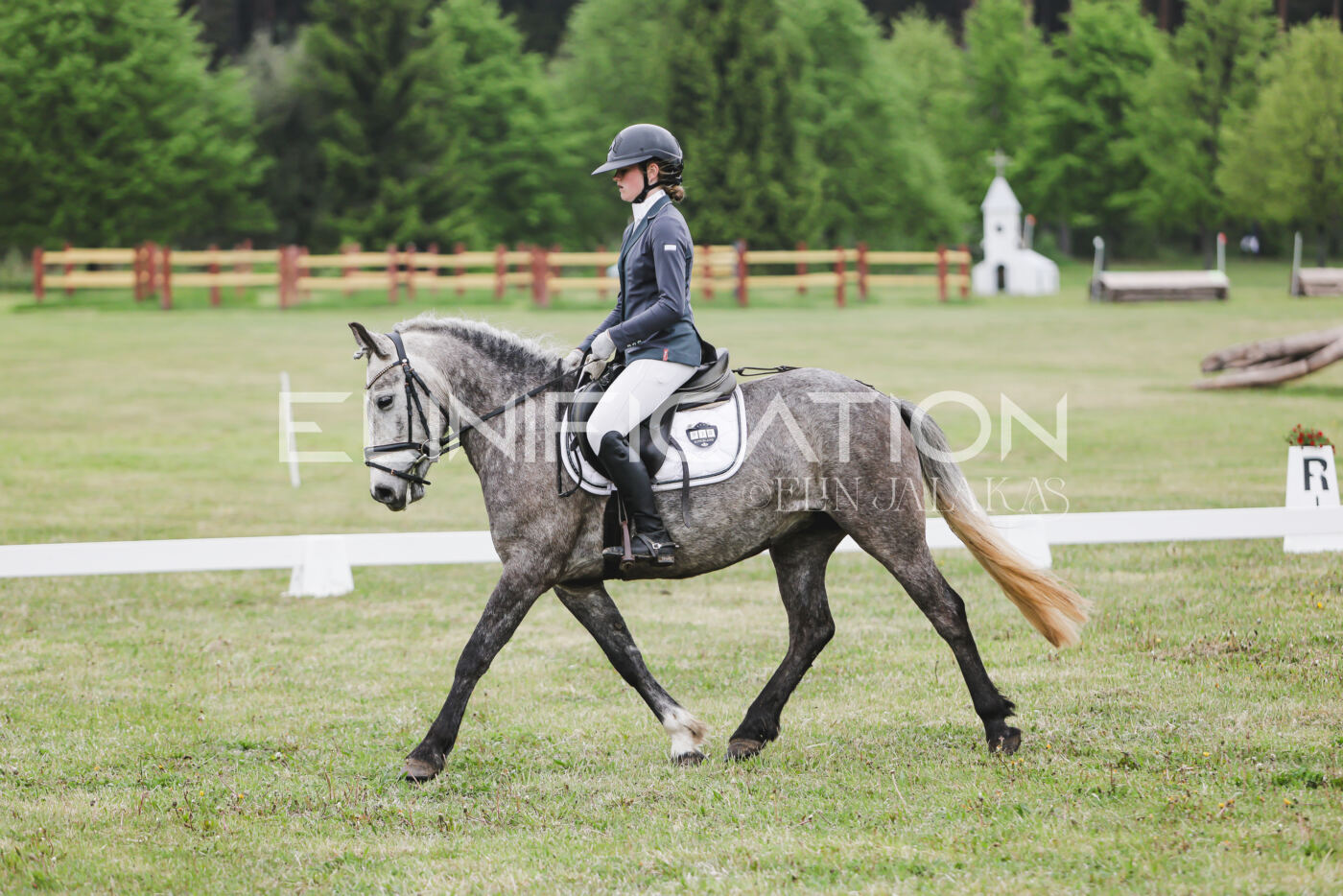 Parnu_CHI_3V_2026_CCN80_KS_304