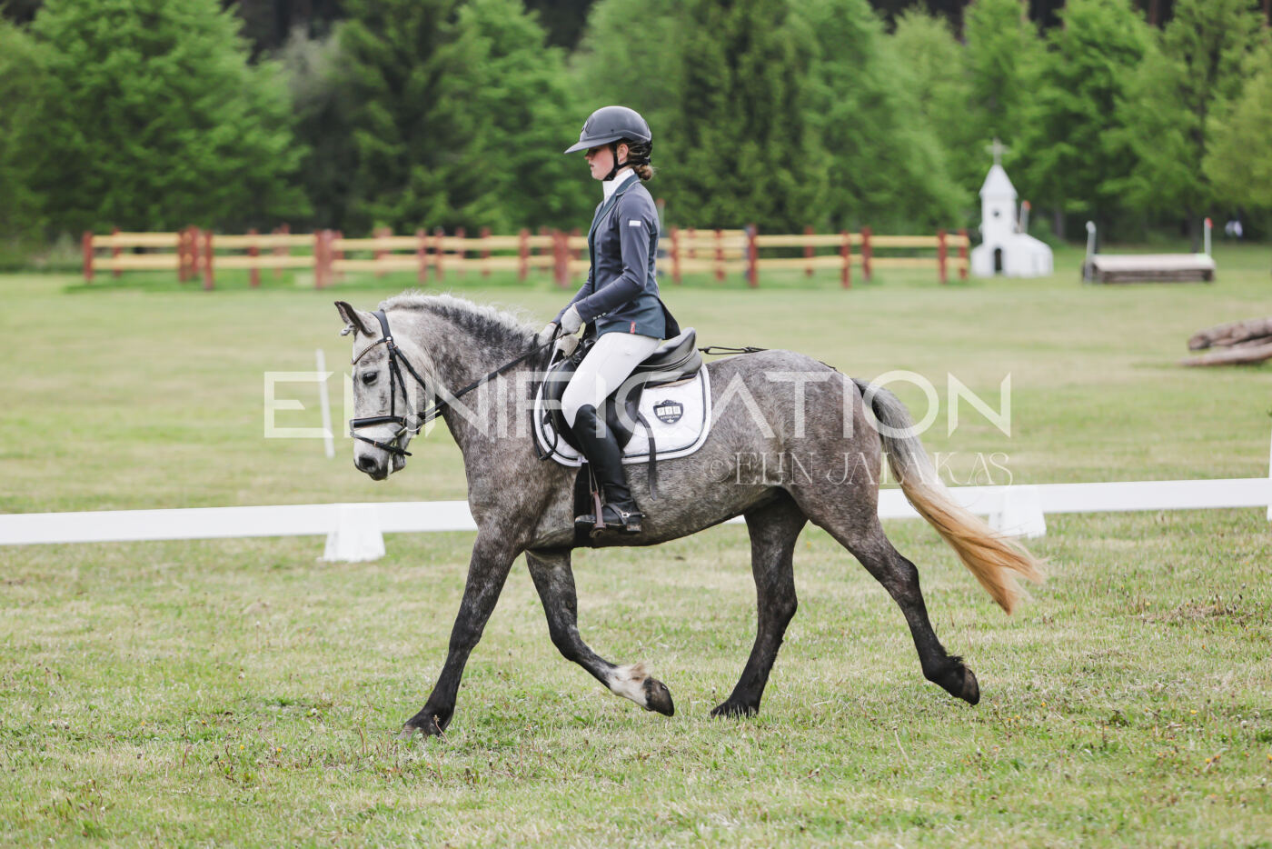 Parnu_CHI_3V_2026_CCN80_KS_305
