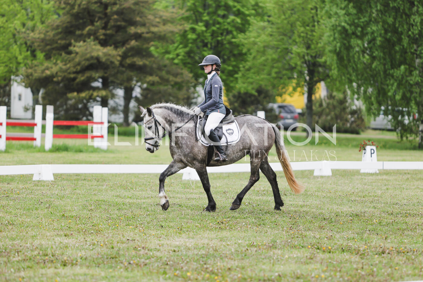 Parnu_CHI_3V_2026_CCN80_KS_310
