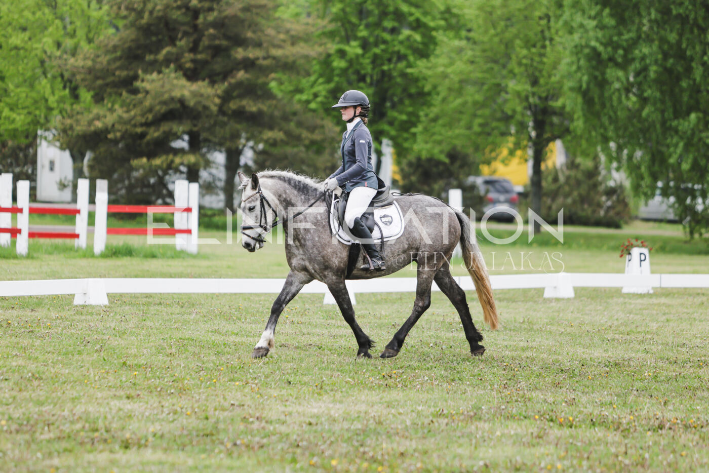 Parnu_CHI_3V_2026_CCN80_KS_311