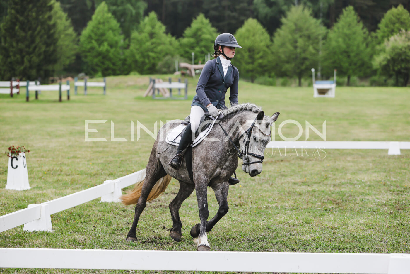 Parnu_CHI_3V_2026_CCN80_KS_316