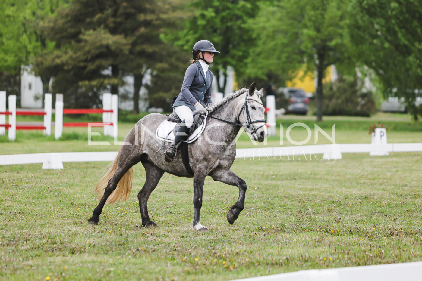 Parnu_CHI_3V_2026_CCN80_KS_318