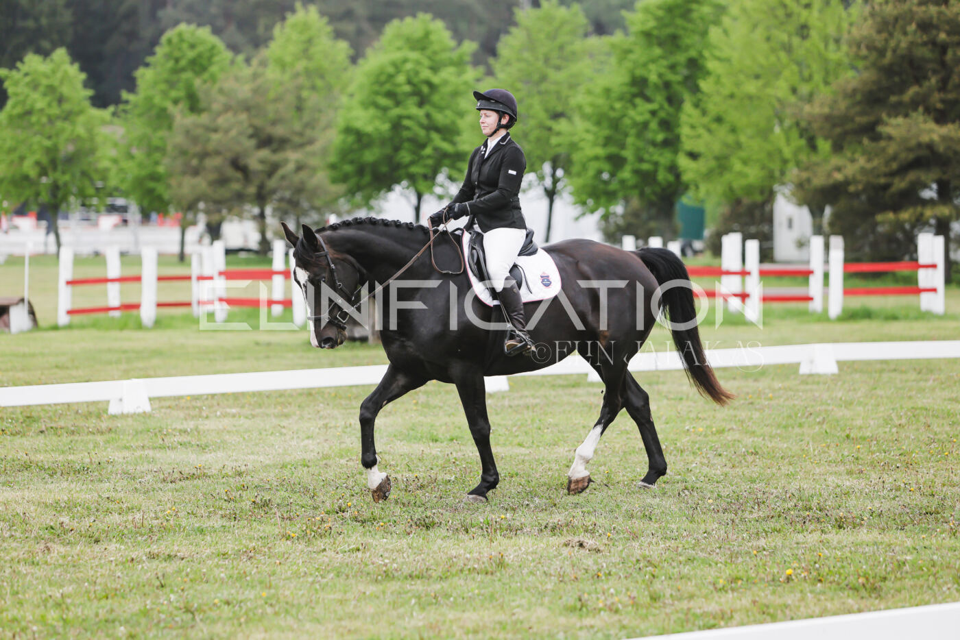 Parnu_CHI_3V_2026_CCN80_KS_325