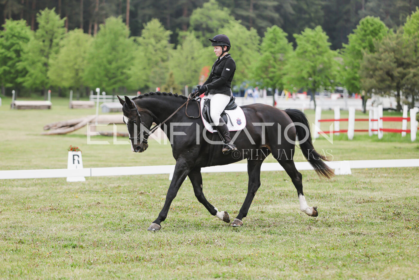 Parnu_CHI_3V_2026_CCN80_KS_329