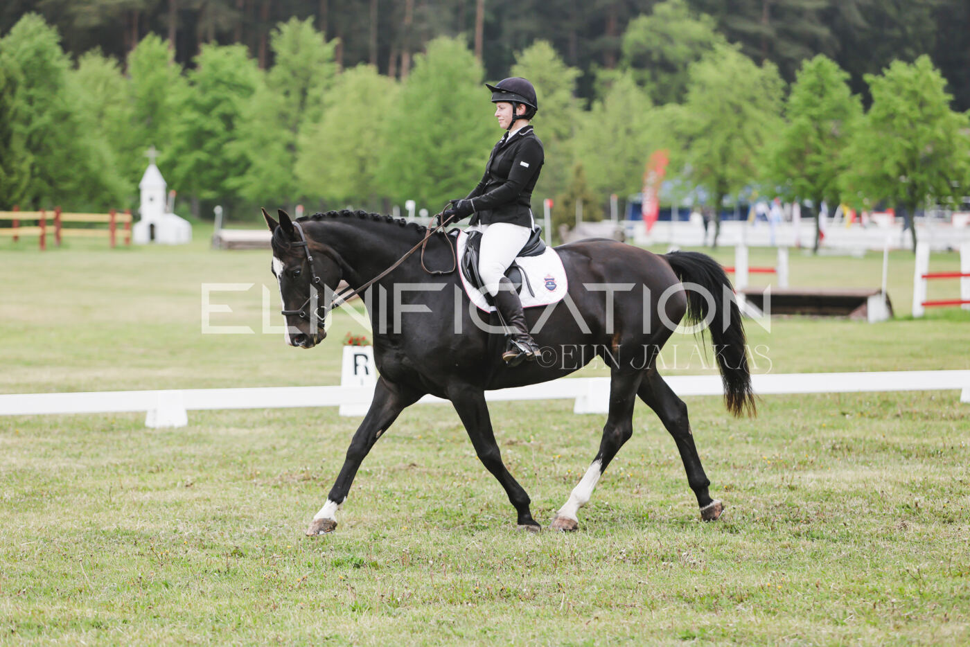 Parnu_CHI_3V_2026_CCN80_KS_330