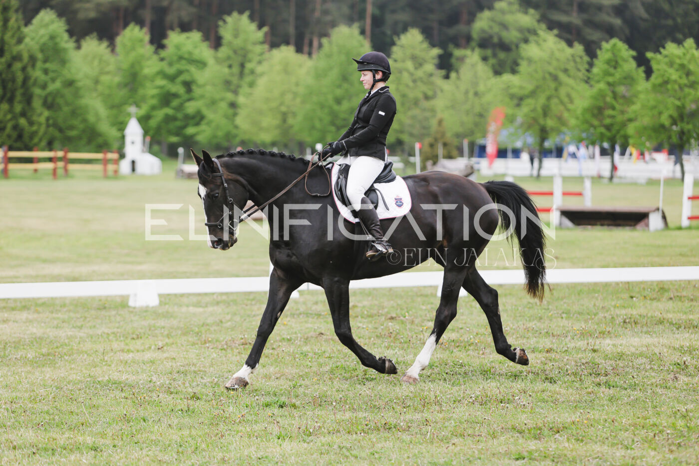 Parnu_CHI_3V_2026_CCN80_KS_331