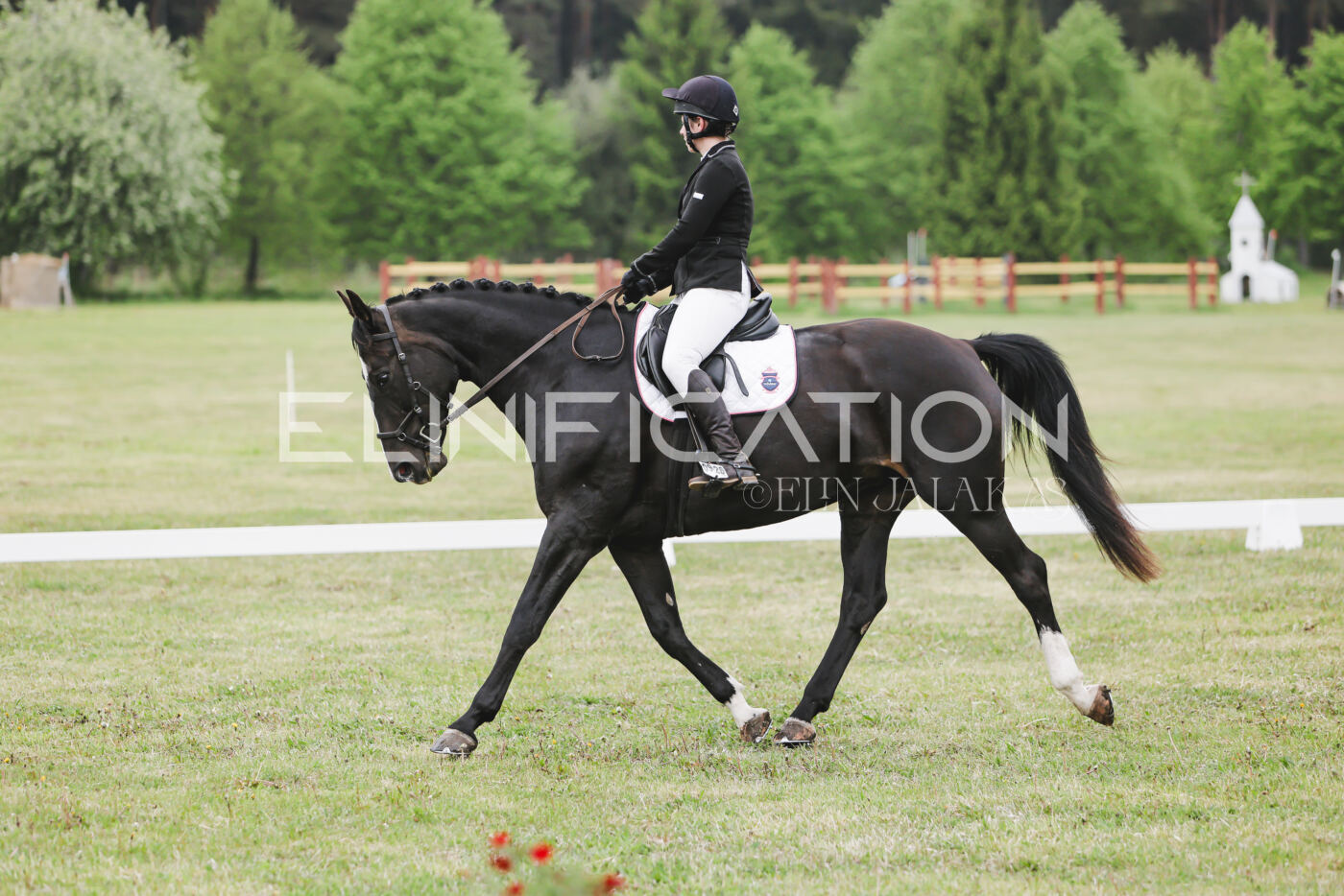Parnu_CHI_3V_2026_CCN80_KS_334