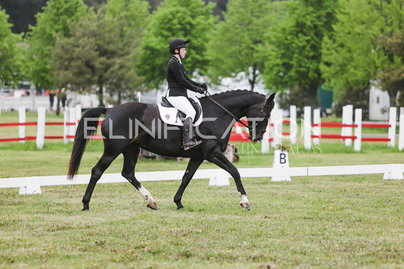 Parnu_CHI_3V_2026_CCN80_KS_339