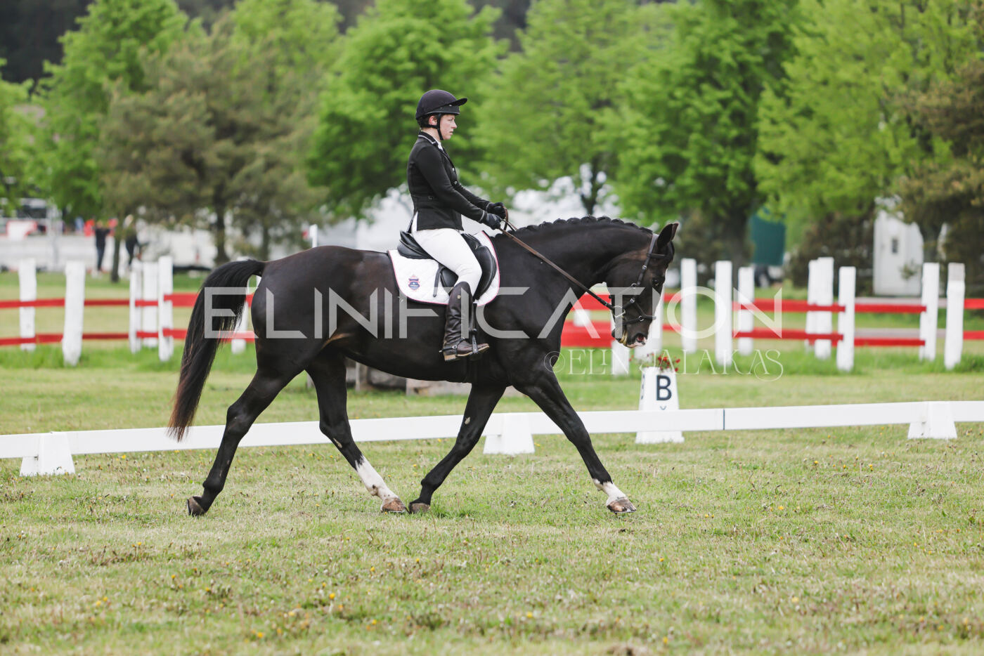 Parnu_CHI_3V_2026_CCN80_KS_340
