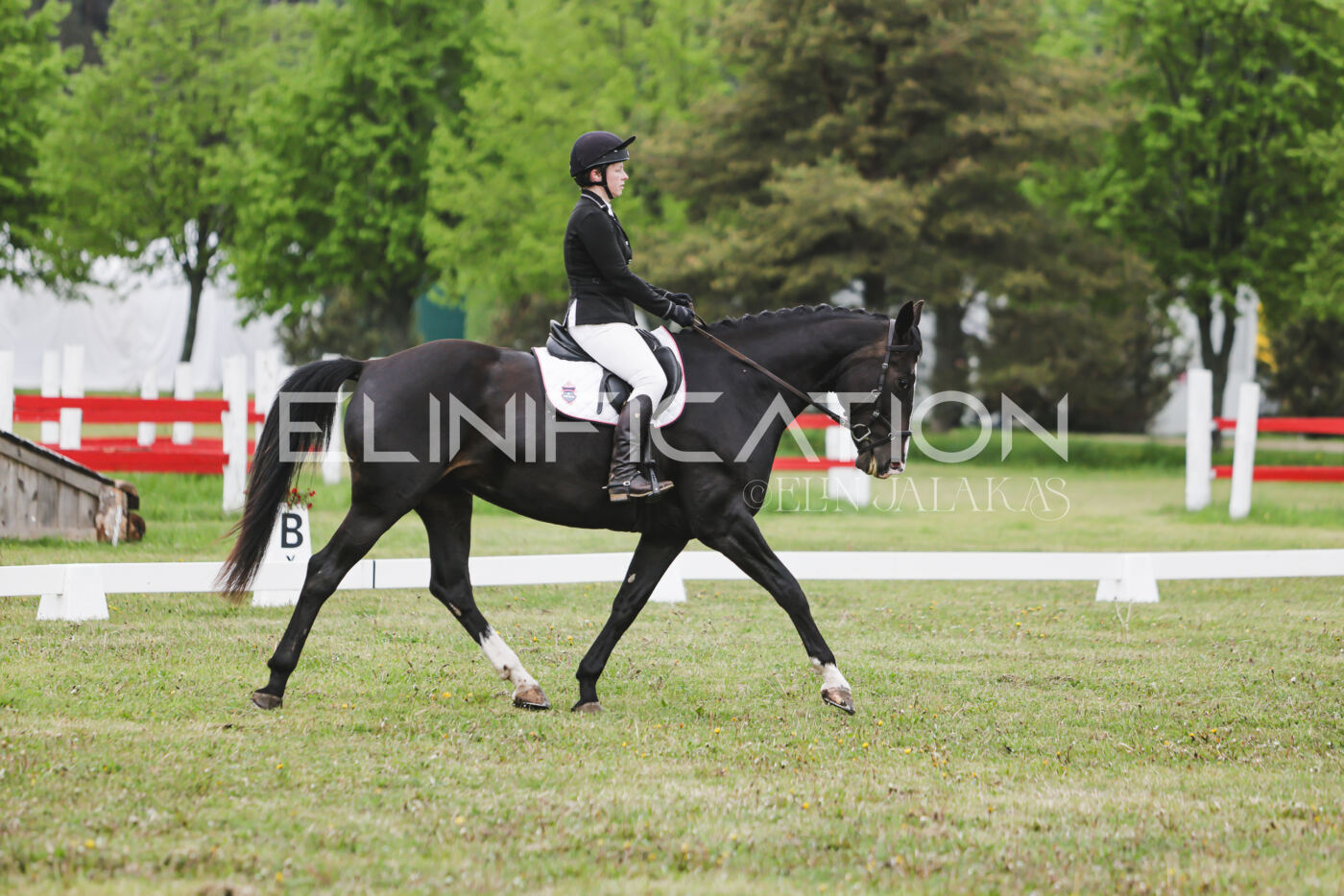 Parnu_CHI_3V_2026_CCN80_KS_341