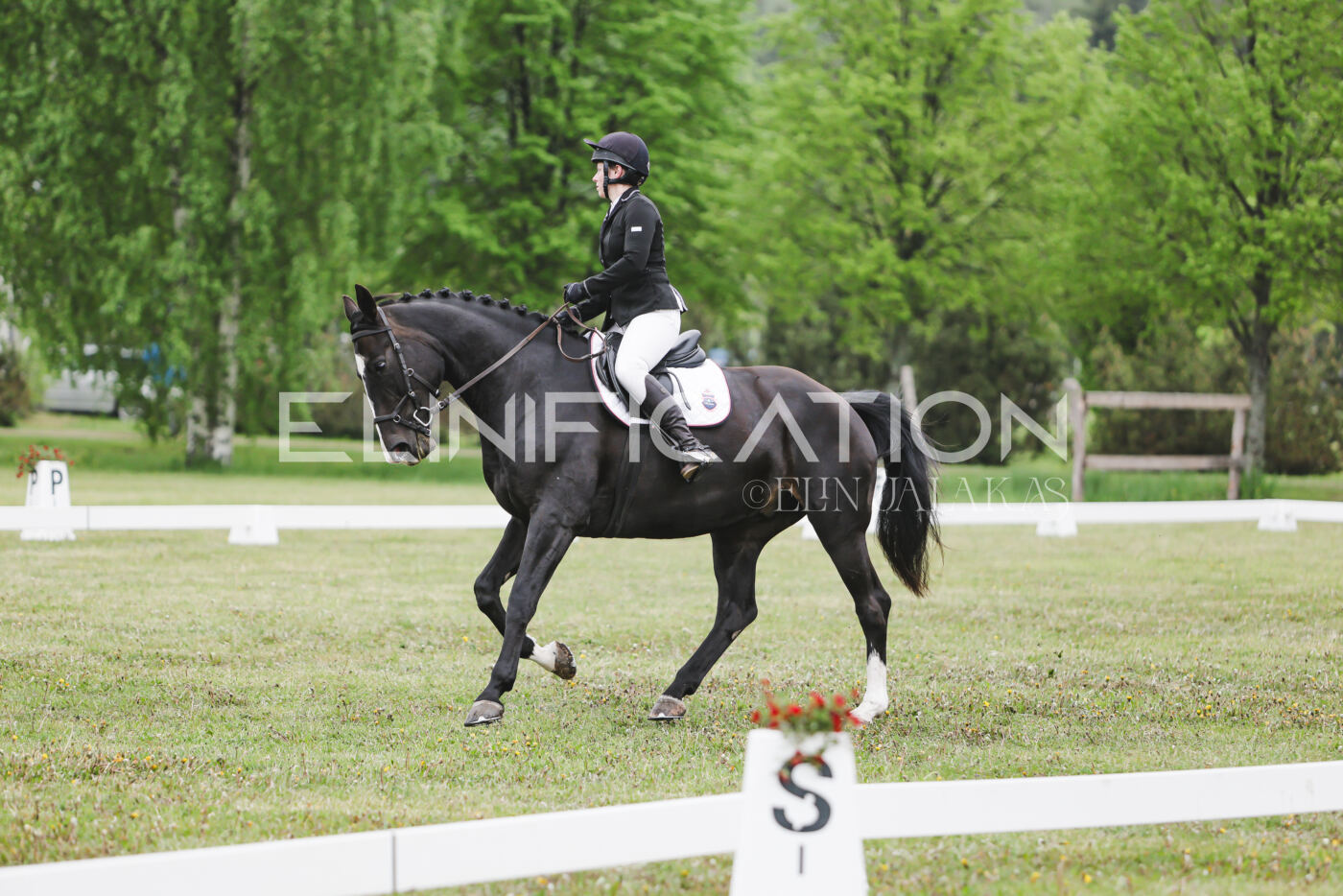 Parnu_CHI_3V_2026_CCN80_KS_350