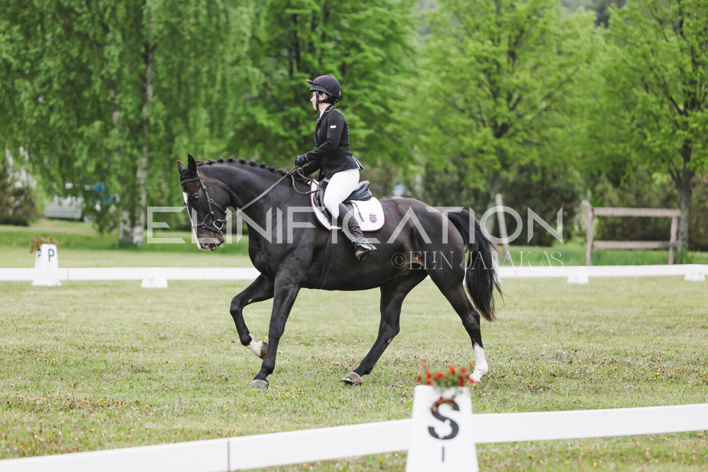 Parnu_CHI_3V_2026_CCN80_KS_351