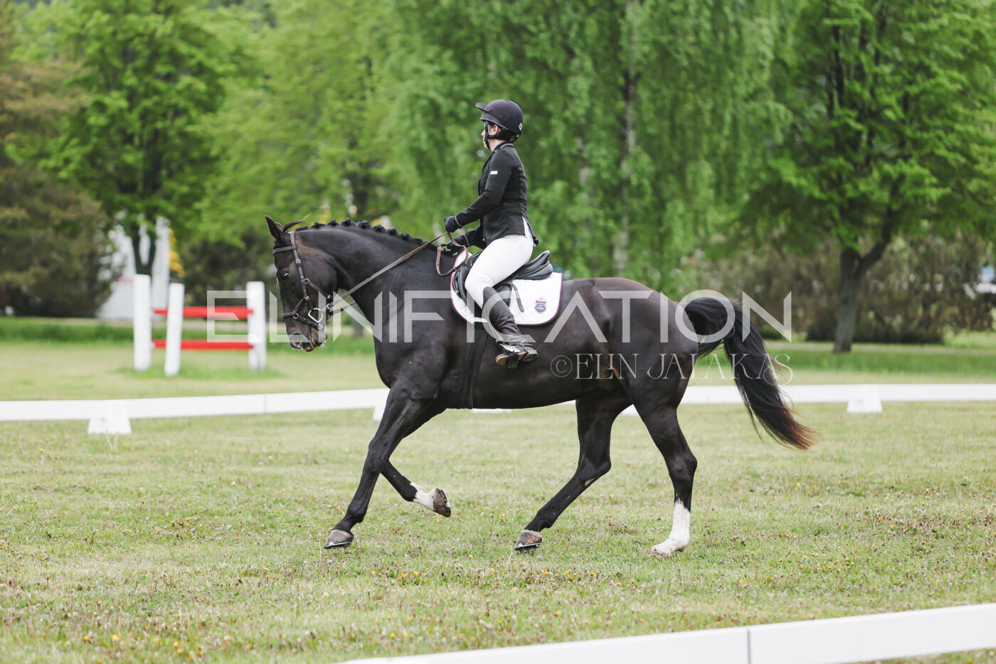 Parnu_CHI_3V_2026_CCN80_KS_352