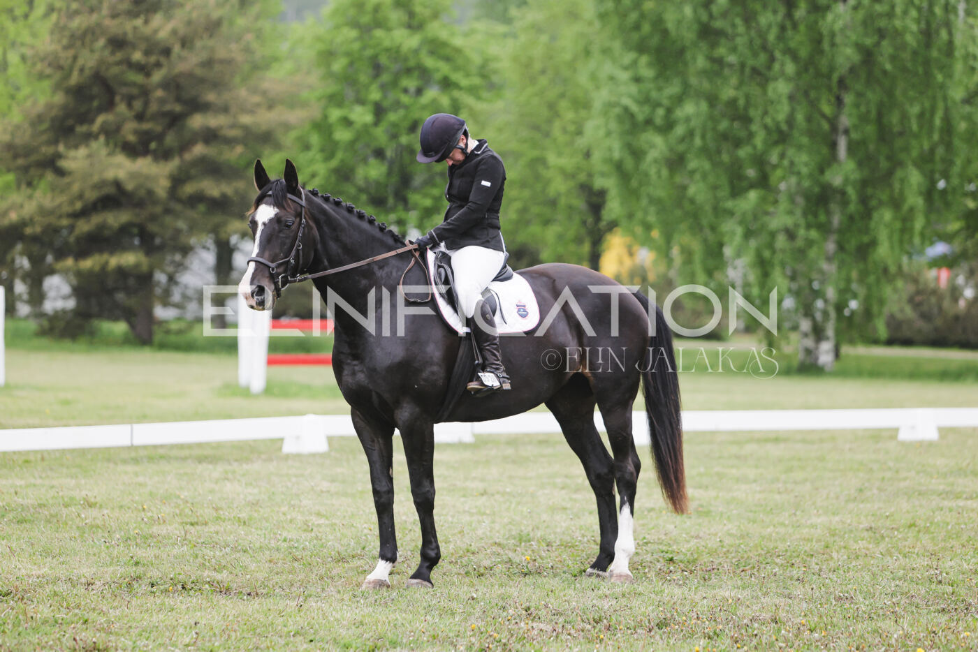 Parnu_CHI_3V_2026_CCN80_KS_375