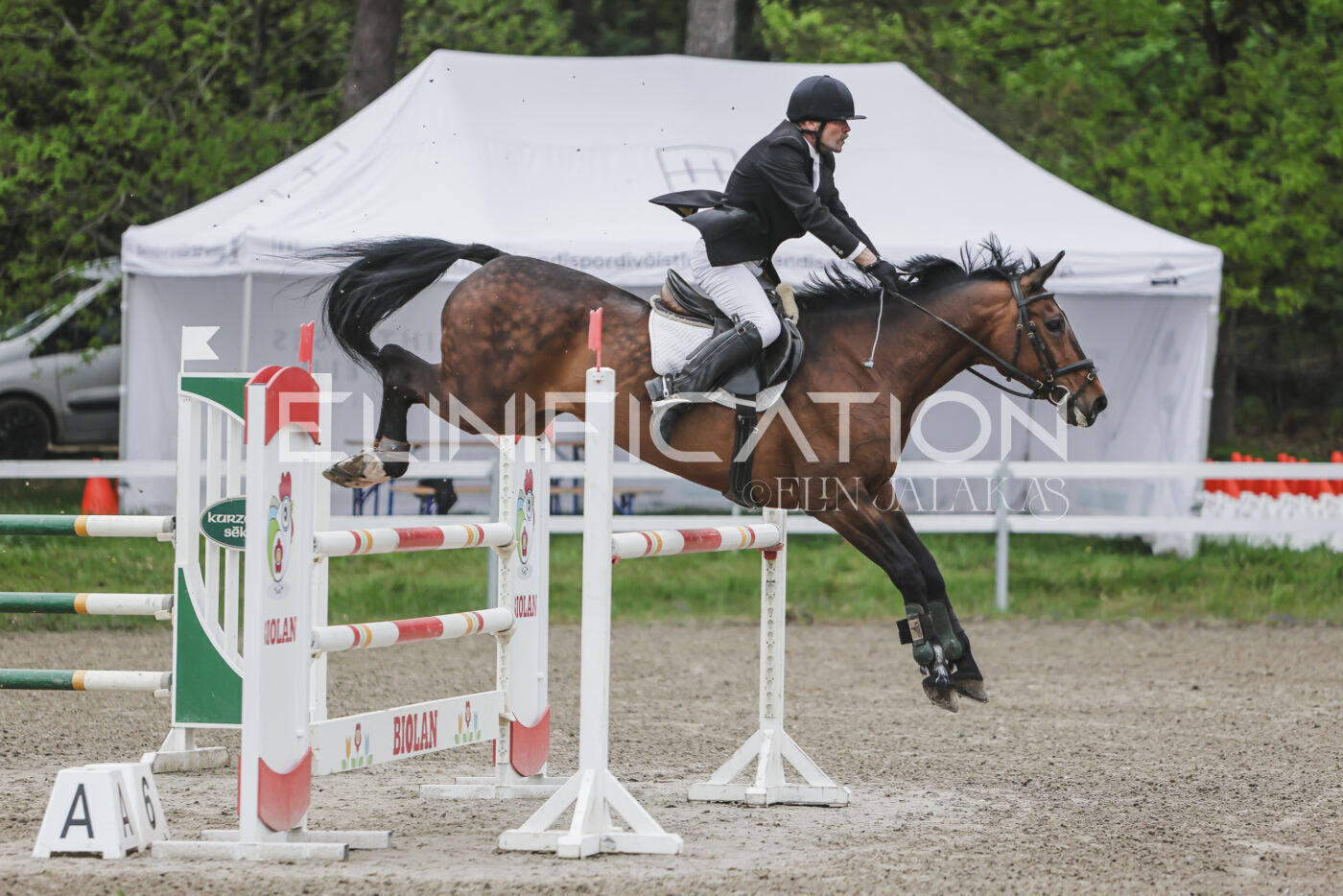 Parnu_CHI_3V_2026_CCI2-S_TS_013
