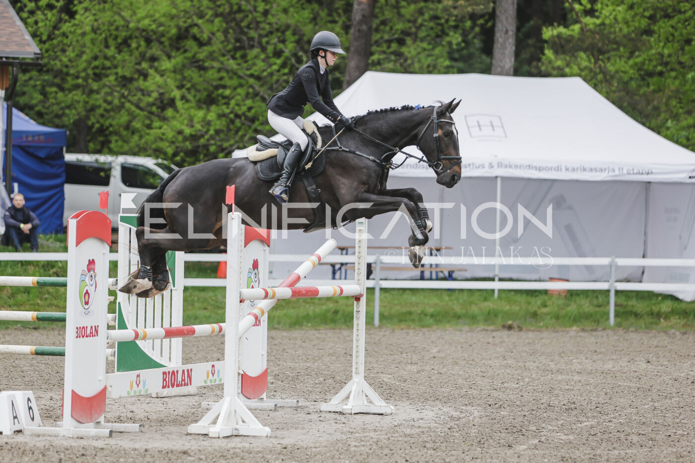 Parnu_CHI_3V_2026_CCI2-S_TS_036