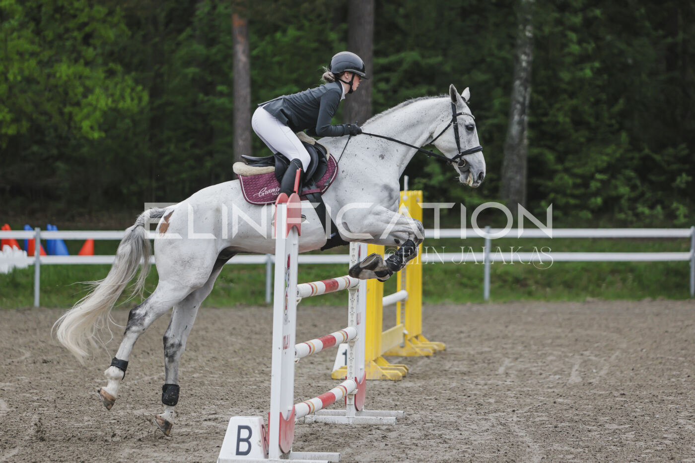 Parnu_CHI_3V_2026_CCI2-S_TS_068