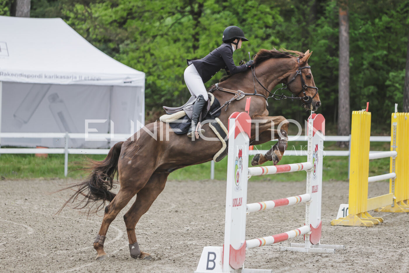 Parnu_CHI_3V_2026_CCI2-S_TS_093